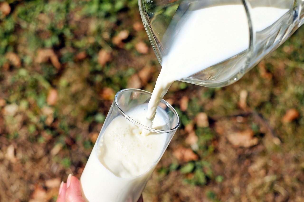 jak zrobić mleko z mleka w proszku